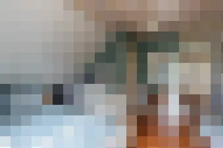 Nieuwe Veer 47 Streefkerk thumbnail 25