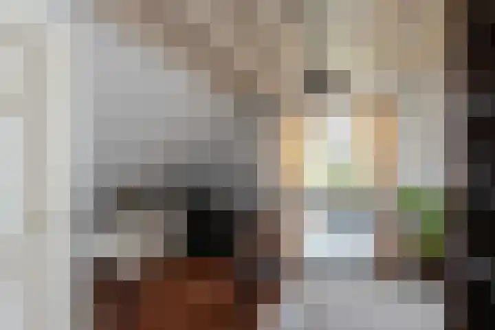 Nieuwe Veer 47 Streefkerk thumbnail 26