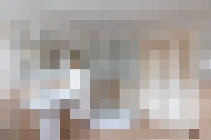 Nieuwe Veer 47 Streefkerk thumbnail 30