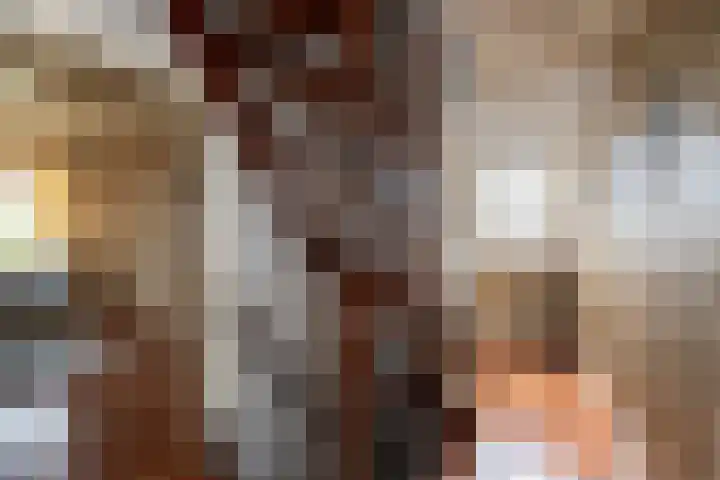Nieuwe Veer 47 Streefkerk thumbnail 31