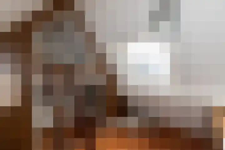 Nieuwe Veer 47 Streefkerk thumbnail 33