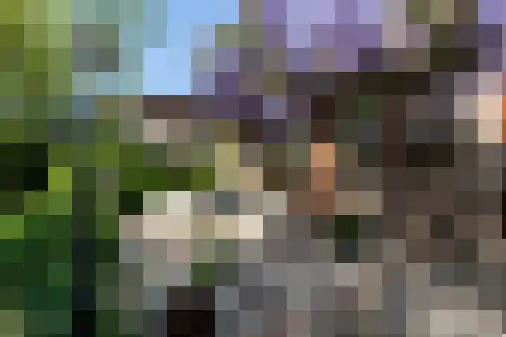 Nieuwe Veer 47 Streefkerk thumbnail 35