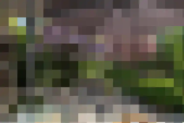 Nieuwe Veer 47 Streefkerk thumbnail 36