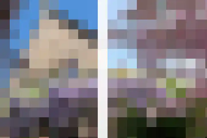 Nieuwe Veer 47 Streefkerk thumbnail 38