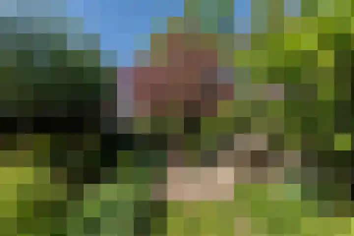 Nieuwe Veer 47 Streefkerk thumbnail 39