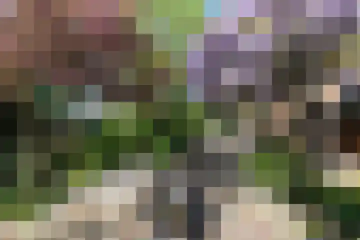 Nieuwe Veer 47 Streefkerk thumbnail 4