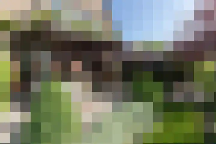 Nieuwe Veer 47 Streefkerk thumbnail 40
