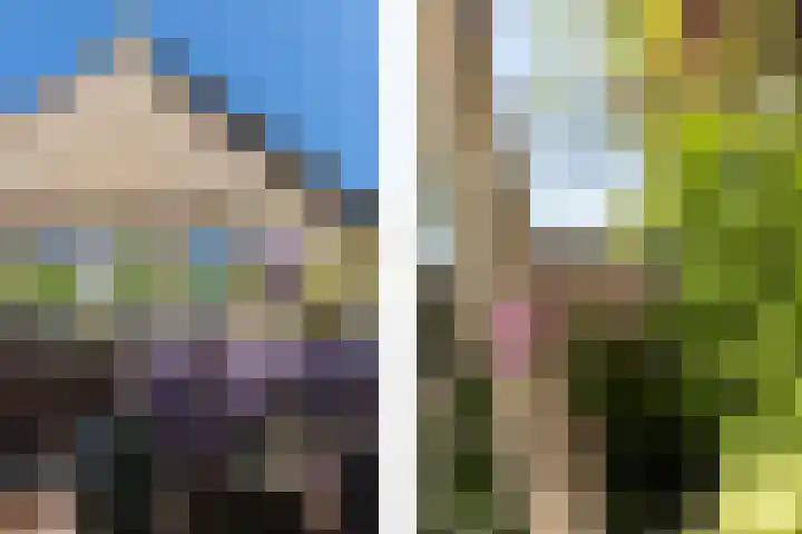 Nieuwe Veer 47 Streefkerk thumbnail 41