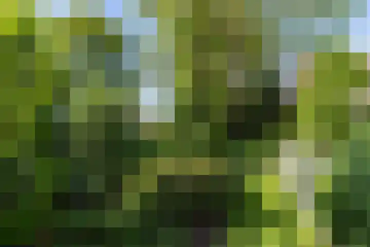 Nieuwe Veer 47 Streefkerk thumbnail 42