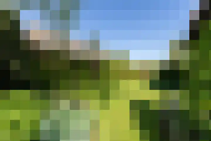 Nieuwe Veer 47 Streefkerk thumbnail 43