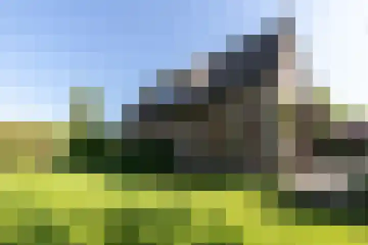 Nieuwe Veer 47 Streefkerk thumbnail 44