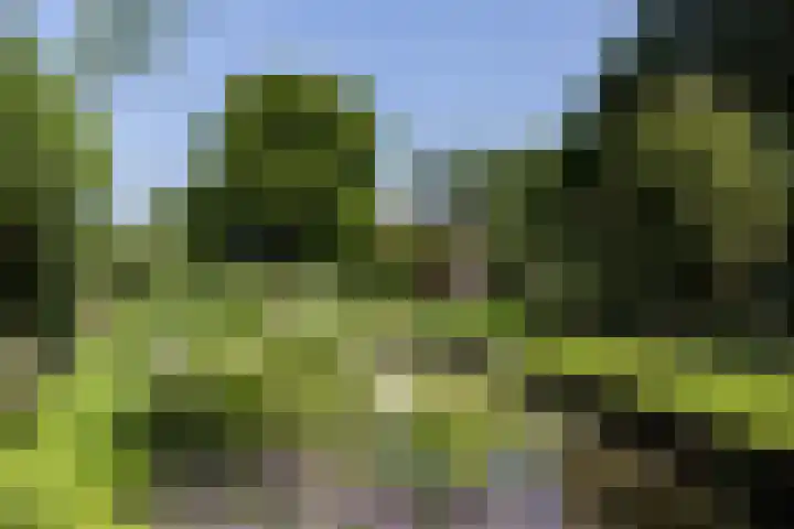Nieuwe Veer 47 Streefkerk thumbnail 45