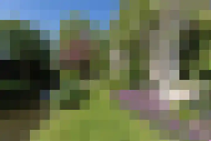 Nieuwe Veer 47 Streefkerk thumbnail 46