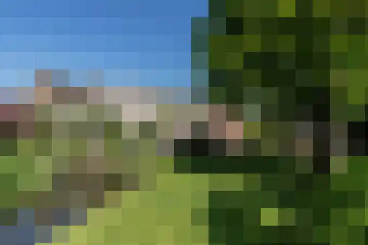 Nieuwe Veer 47 Streefkerk thumbnail 47
