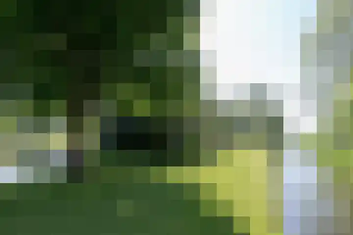 Nieuwe Veer 47 Streefkerk thumbnail 48