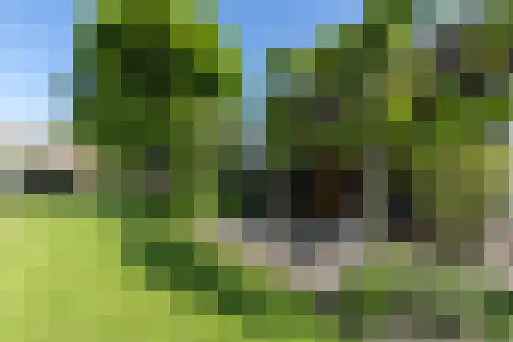 Nieuwe Veer 47 Streefkerk thumbnail 49