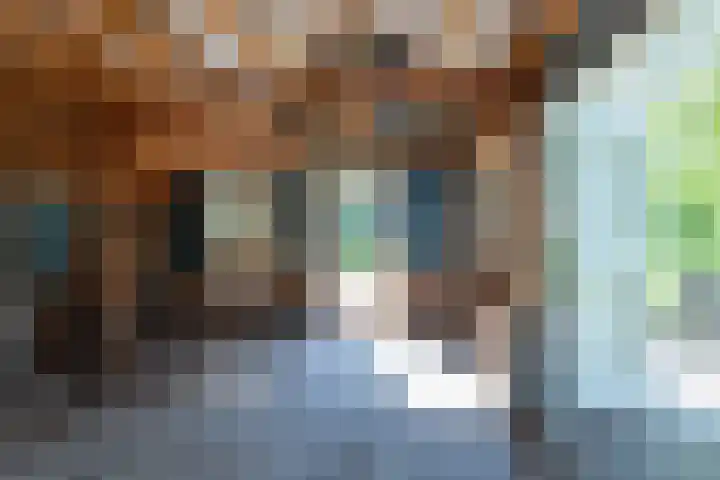 Nieuwe Veer 47 Streefkerk thumbnail 51
