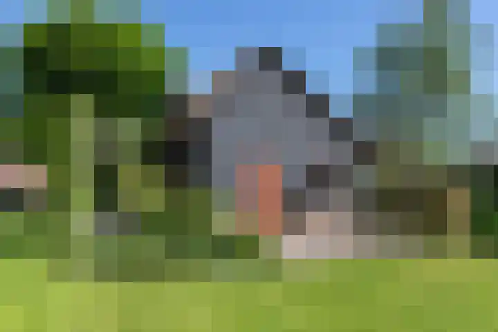 Nieuwe Veer 47 Streefkerk thumbnail 52