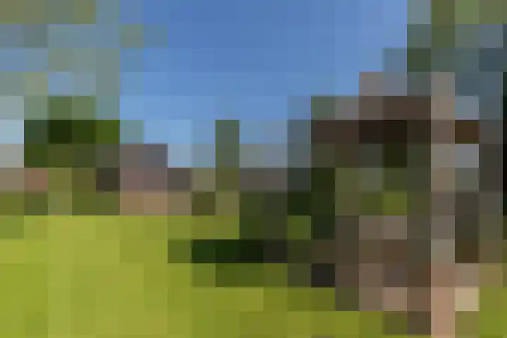 Nieuwe Veer 47 Streefkerk thumbnail 53