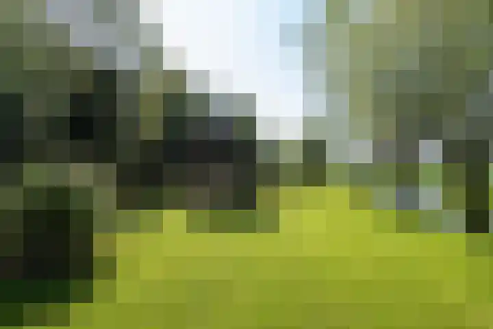 Nieuwe Veer 47 Streefkerk thumbnail 54