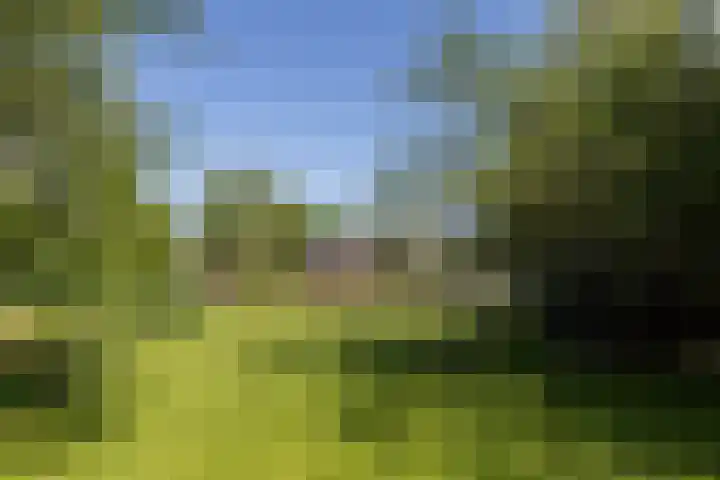 Nieuwe Veer 47 Streefkerk thumbnail 55