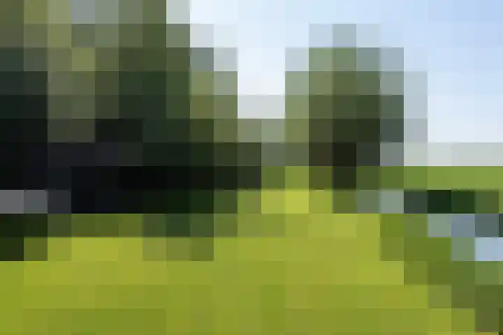 Nieuwe Veer 47 Streefkerk thumbnail 56