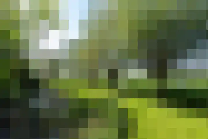 Nieuwe Veer 47 Streefkerk thumbnail 57