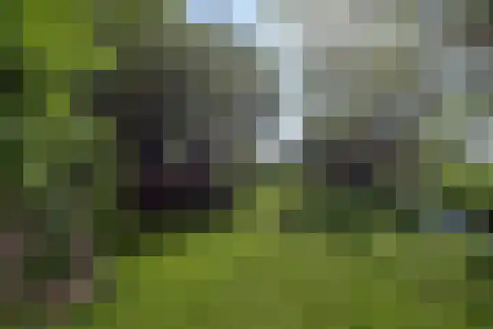 Nieuwe Veer 47 Streefkerk thumbnail 58