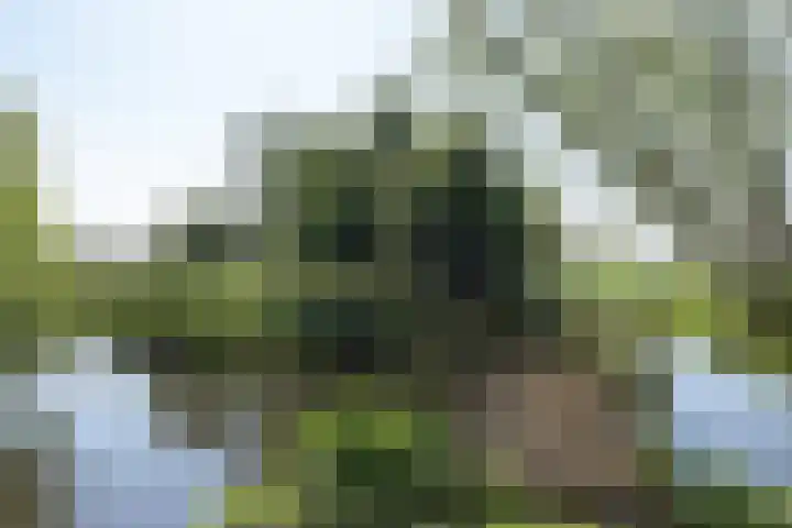 Nieuwe Veer 47 Streefkerk thumbnail 59