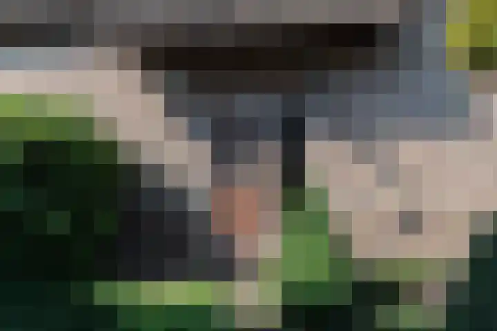 Nieuwe Veer 47 Streefkerk thumbnail 6