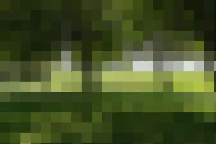 Nieuwe Veer 47 Streefkerk thumbnail 60