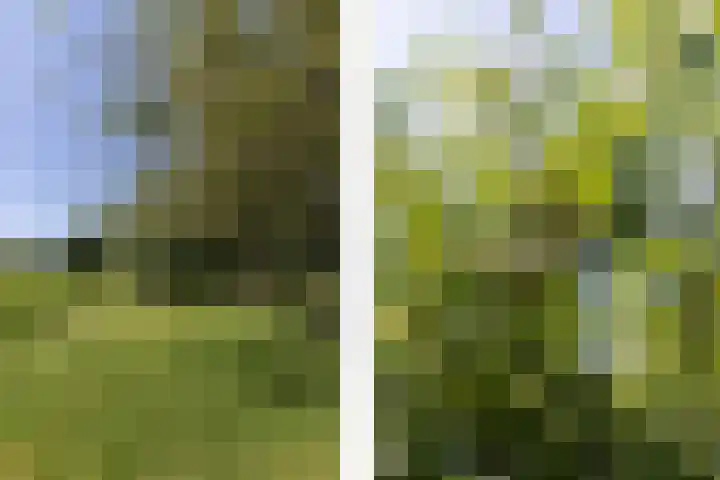 Nieuwe Veer 47 Streefkerk thumbnail 61