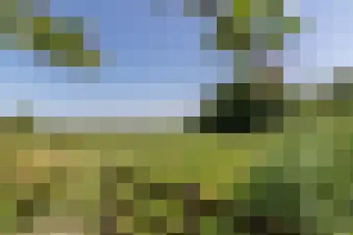 Nieuwe Veer 47 Streefkerk thumbnail 62