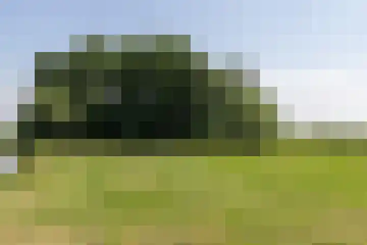 Nieuwe Veer 47 Streefkerk thumbnail 63