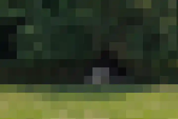 Nieuwe Veer 47 Streefkerk thumbnail 64
