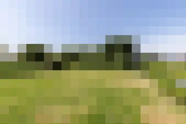 Nieuwe Veer 47 Streefkerk thumbnail 65
