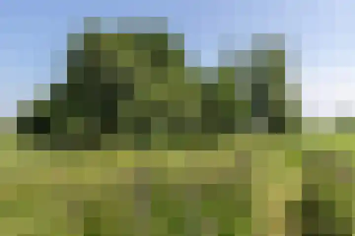 Nieuwe Veer 47 Streefkerk thumbnail 66