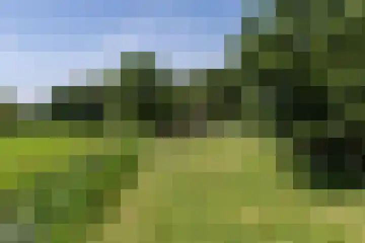Nieuwe Veer 47 Streefkerk thumbnail 68
