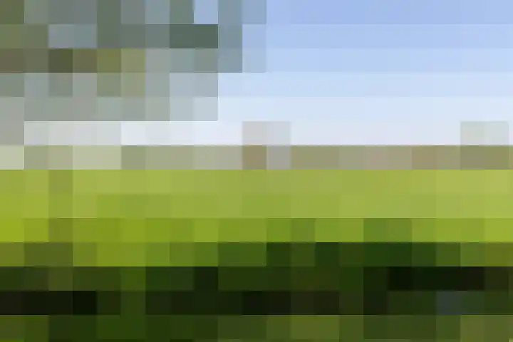 Nieuwe Veer 47 Streefkerk thumbnail 69