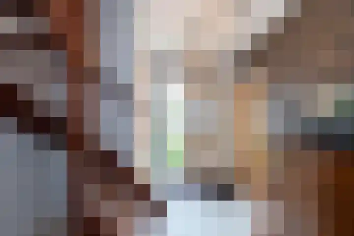 Nieuwe Veer 47 Streefkerk thumbnail 7
