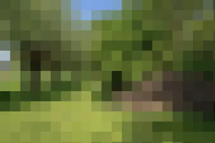 Nieuwe Veer 47 Streefkerk thumbnail 70