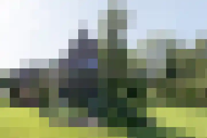 Nieuwe Veer 47 Streefkerk thumbnail 74