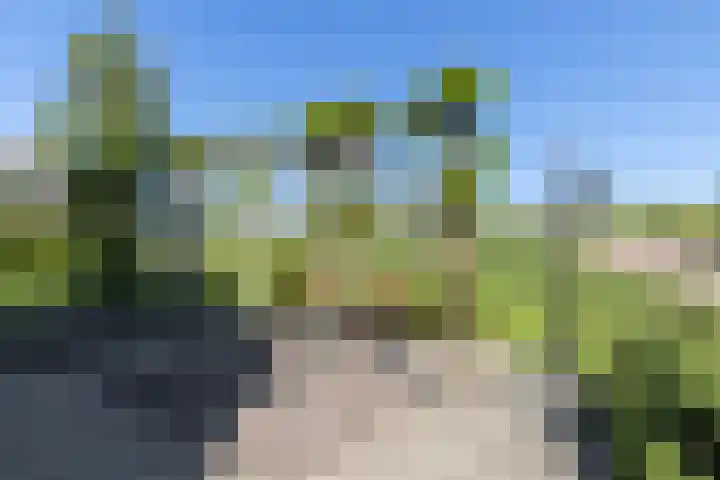 Nieuwe Veer 47 Streefkerk thumbnail 76