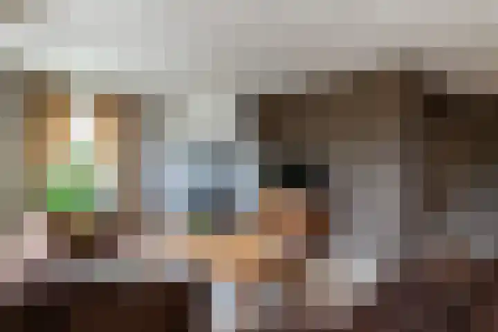 Nieuwe Veer 47 Streefkerk thumbnail 8
