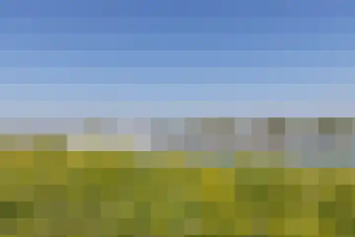 Nieuwe Veer 47 Streefkerk thumbnail 80