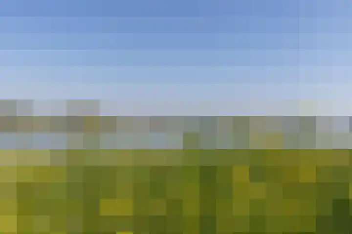Nieuwe Veer 47 Streefkerk thumbnail 81