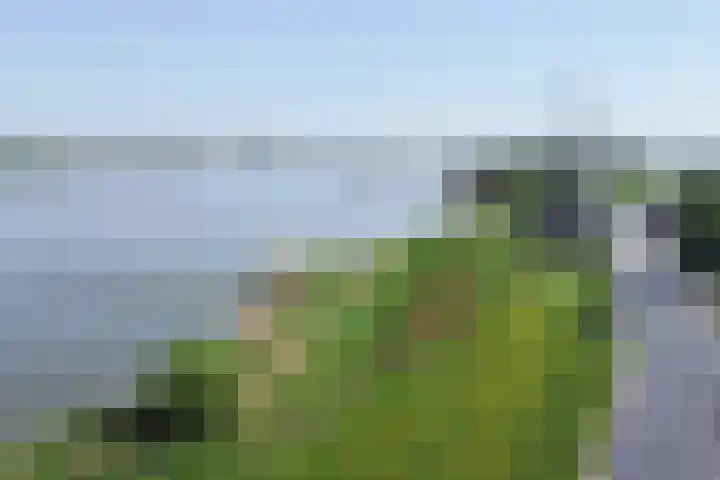 Nieuwe Veer 47 Streefkerk thumbnail 82