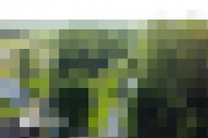 Nieuwe Veer 47 Streefkerk thumbnail 83