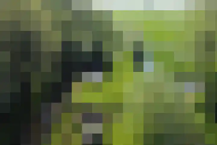 Nieuwe Veer 47 Streefkerk thumbnail 84