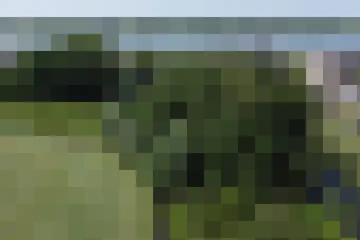 Nieuwe Veer 47 Streefkerk thumbnail 85